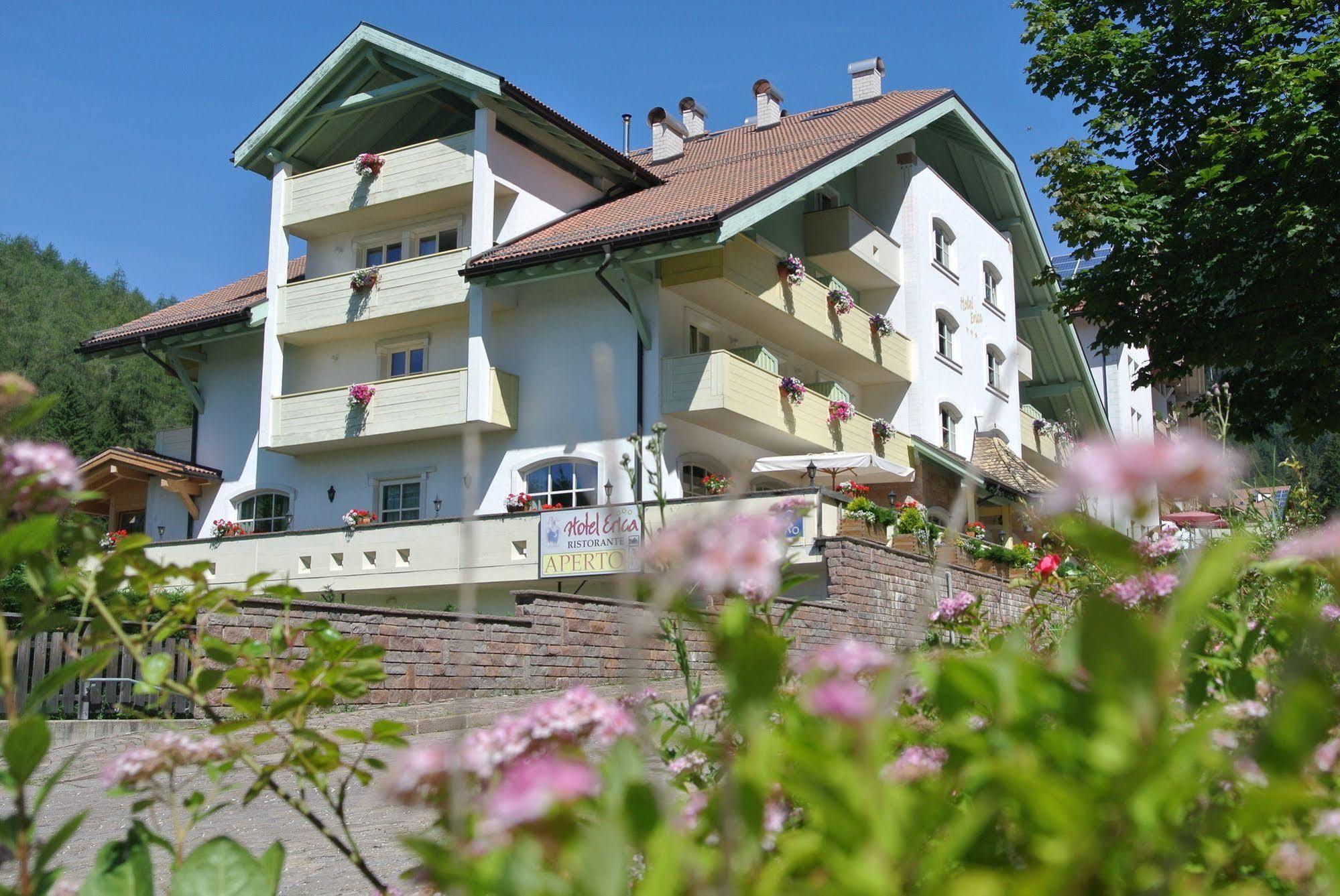 Hotel Erica Tesero Exterior foto